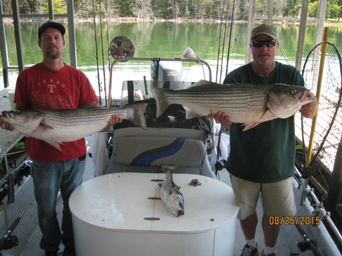 Nice Striped Bass